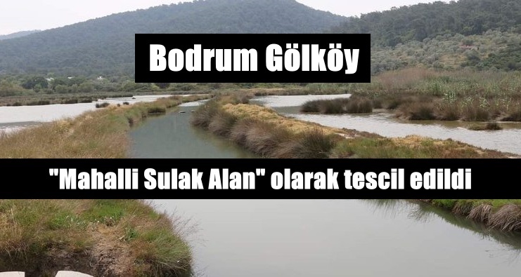 Bodrum Gölköy sulak alanı “Mahalli Sulak Alan” olarak tescil edildi