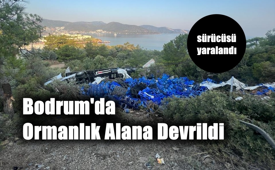 Bodrum’da ormanlık alana devrilen çekicinin sürücüsü yaralandı