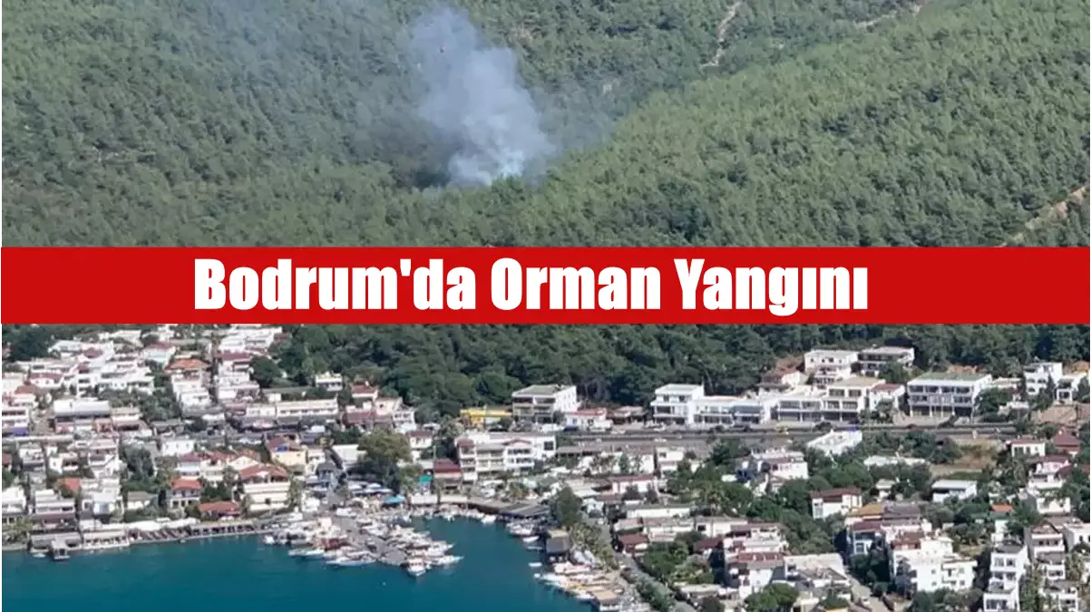 Bodrum’da çıkan orman yangını kontrol altına alındı