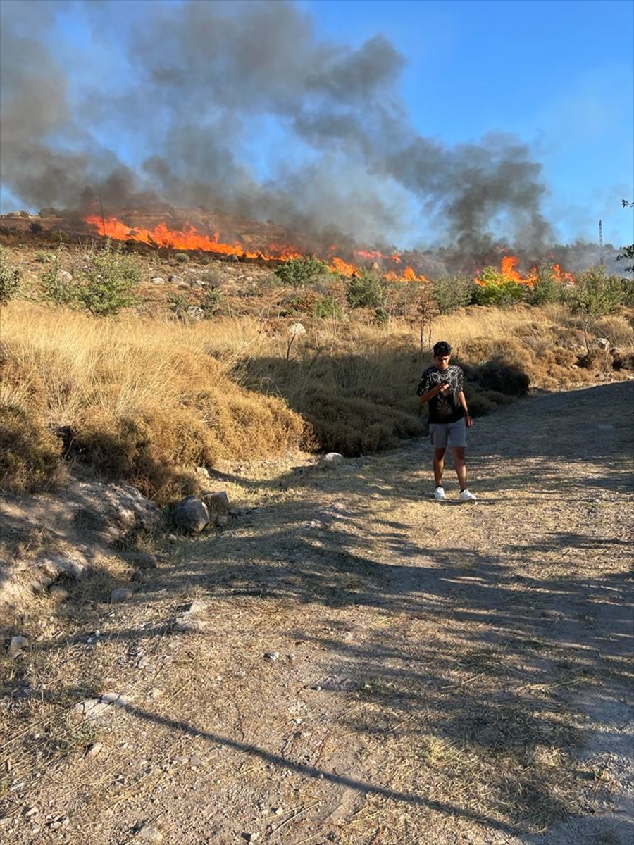 Bodrum’da makilik alanda çıkan yangın kontrol altına alındı