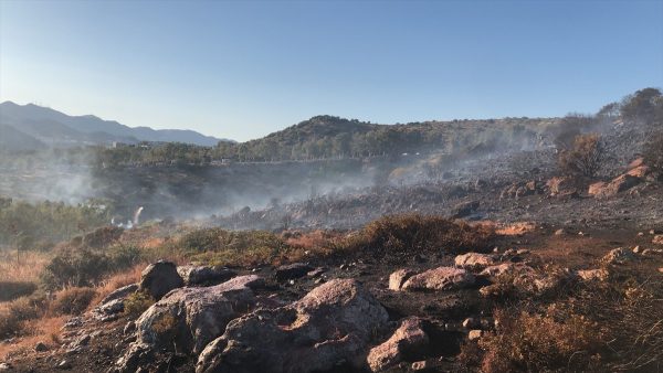Bodrum’da makilik ve otluk alanda çıkan yangın söndürüldü