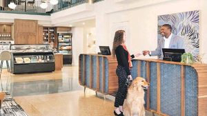 Otellerin kredi borç artışı bu yıl sonuna kadar 100 milyar TL’ye ulaşacak
