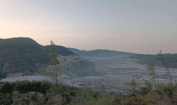 “Akbelen’de 65 bin ağacın kesildiği anlaşılıyor”