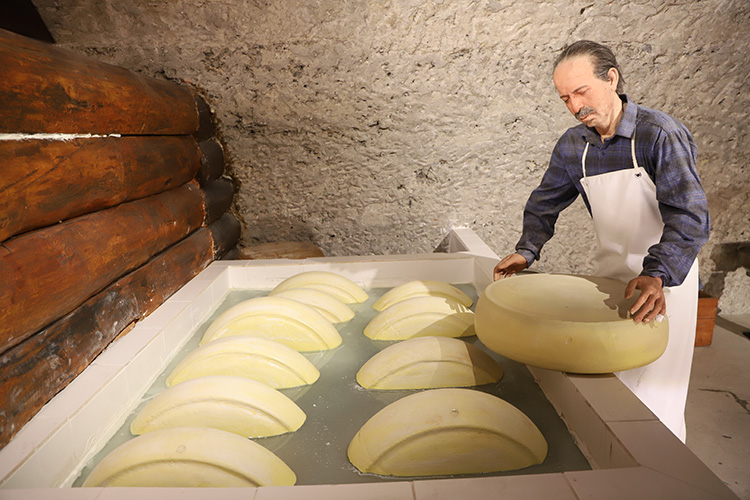 Kars, "Gelecek Turizmde" Projesiyle Dünyanın 18'inci Peynir Rotası Olarak Seçildi