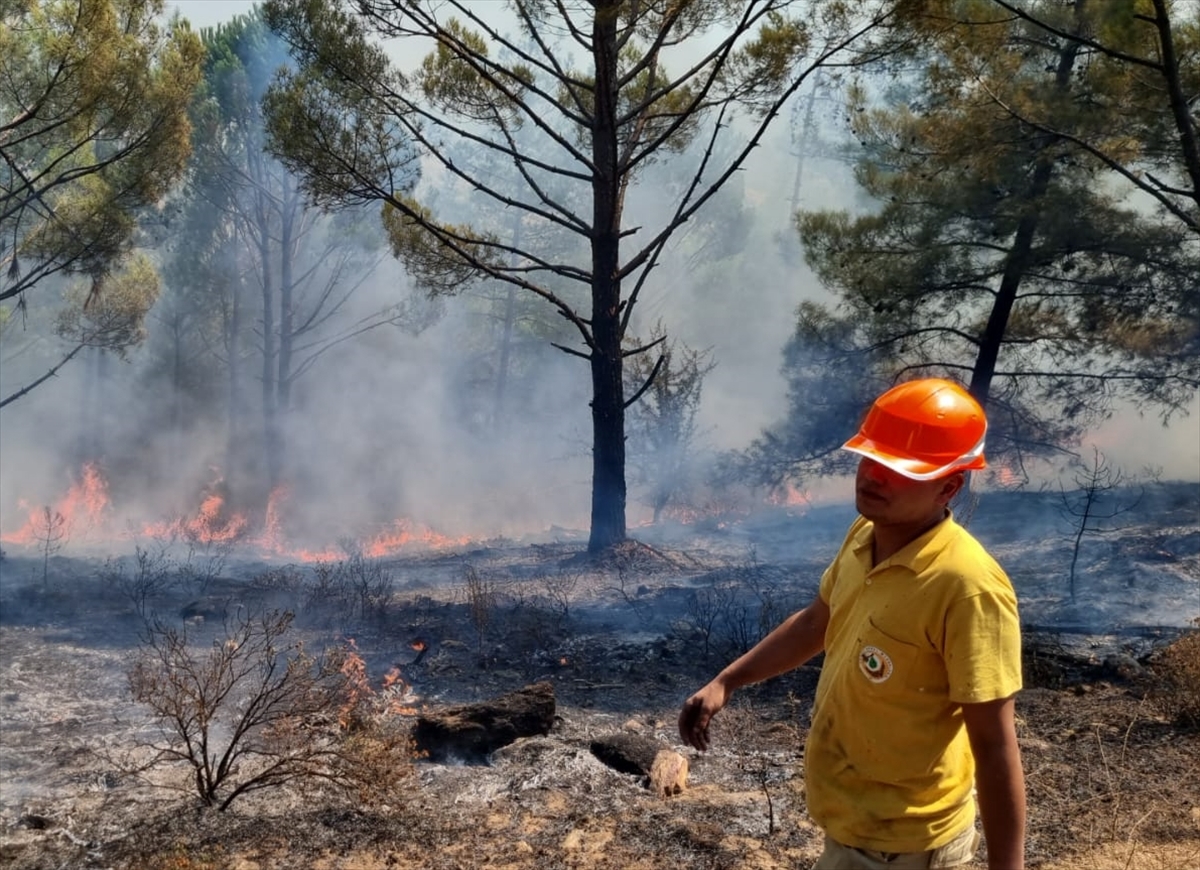 Muğla'da Yıldırım Düşmesi Sonucu 36 Orman Yangını Çıktı