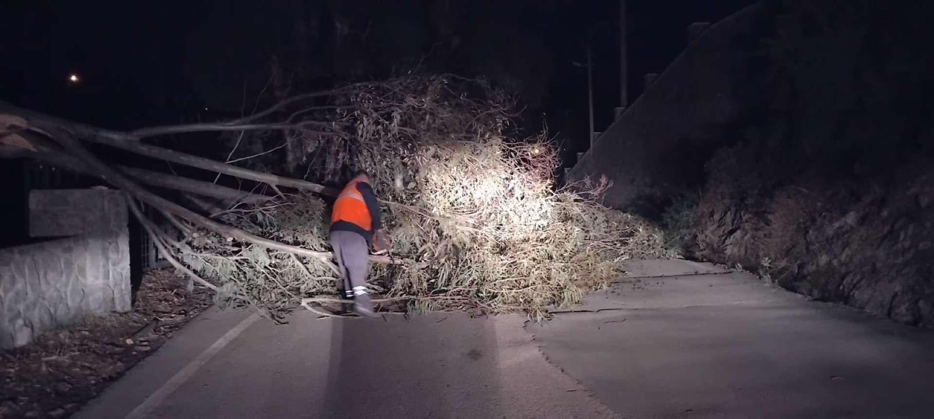 Bodrum’da Fırtınaya Karşı Hızlı Müdahale