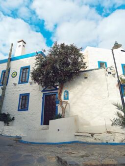 Bodrum’da Hayalindeki Ev Arkadaşını Bul