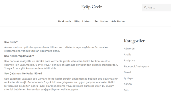 Şirketler İçin SEO Neden Önemli