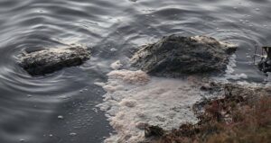 Tuzla Sulak Alanı’nda Beyaz Köpük ve Kirlilik Alarmı