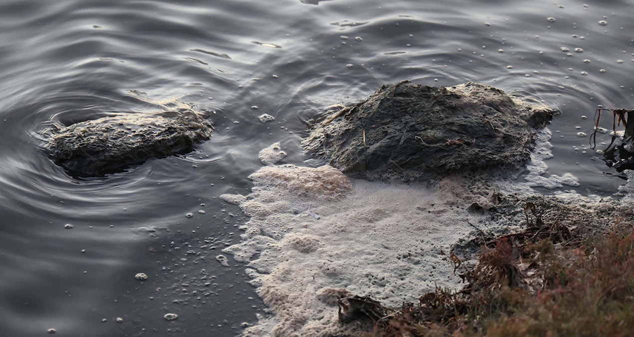 Tuzla Sulak Alanı’nda Beyaz Köpük ve Kirlilik Alarmı