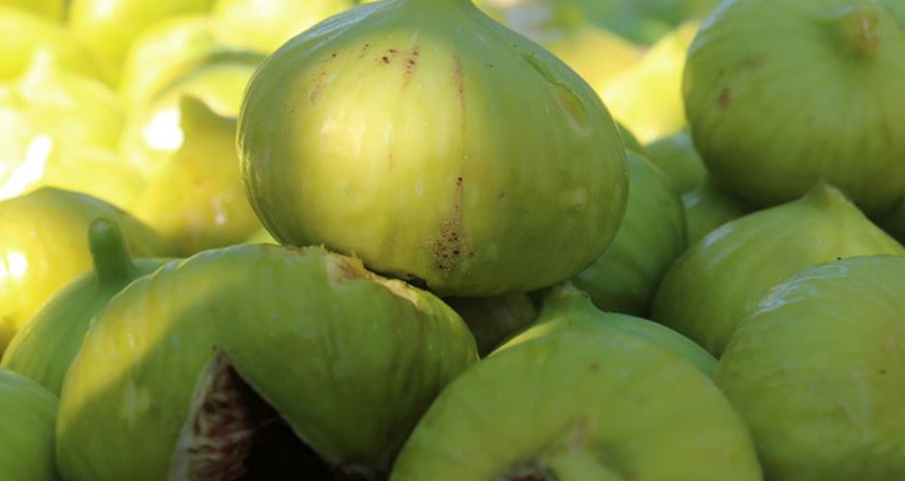 1 günde 3 ret! Aflotoksin içeren incir ve narlar gümrüğe takıldı