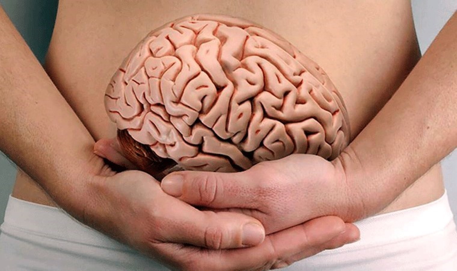 Anksiyete, depresyon, IBS… Vücuttaki iki beynin savaşı: Bağırsak ve beyin arasındaki gizemli bağ