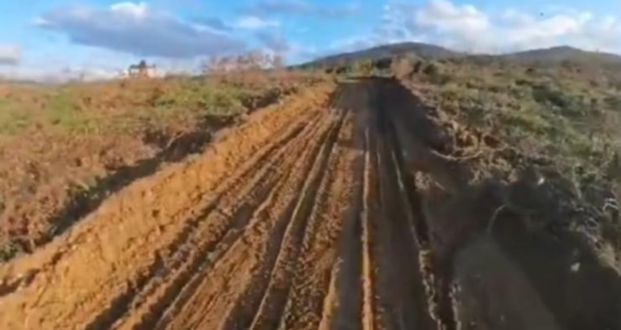 Danıştay 1 milyon ağacın bitmesini mi bekliyor?