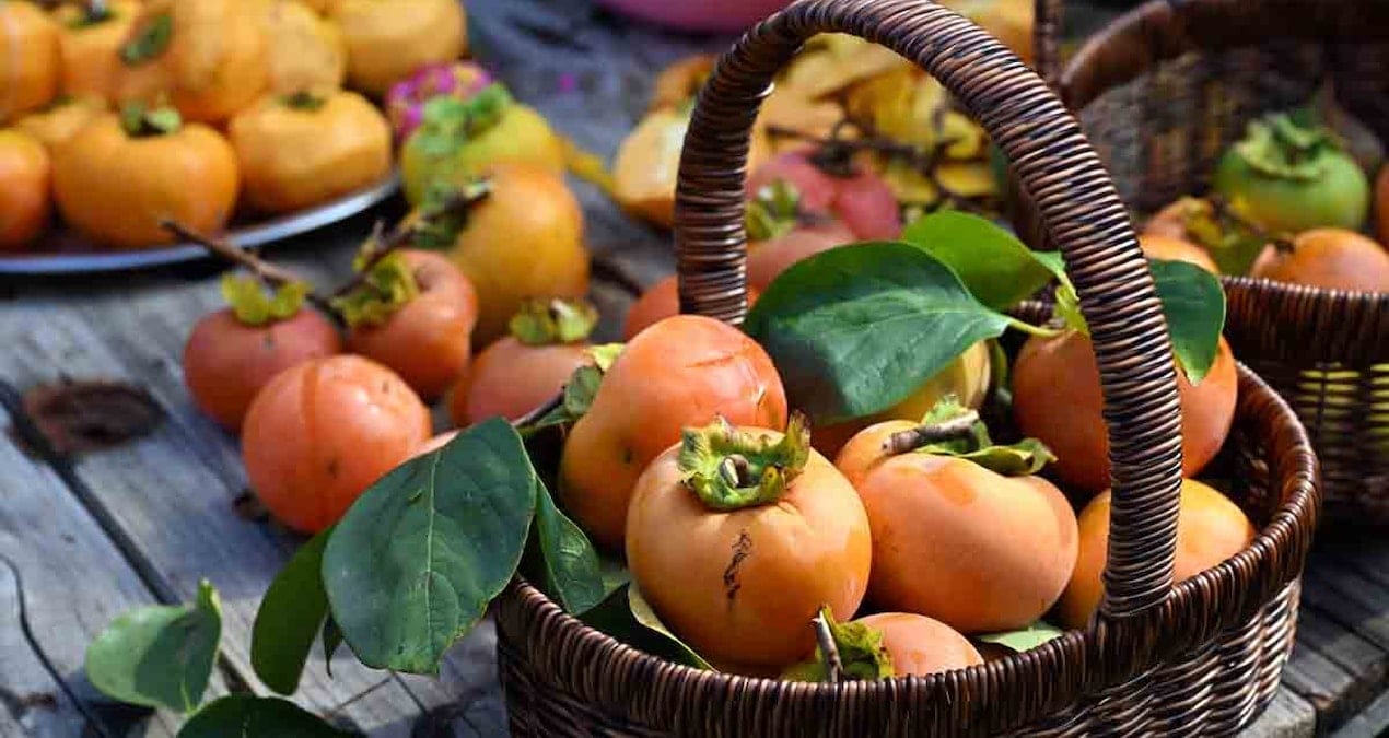 Faydalarıyla bilinen Trabzon hurmasının az bilinen tehlikesi: O kişiler asla tüketmemeli