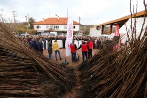 Kavaklıdere’de Üreticilere Cennet Elması Fidanı Dağıtımı Gerçekleştirildi