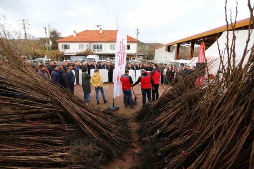 Kavaklıdere’de Üreticilere Cennet Elması Fidanı Dağıtımı Gerçekleştirildi