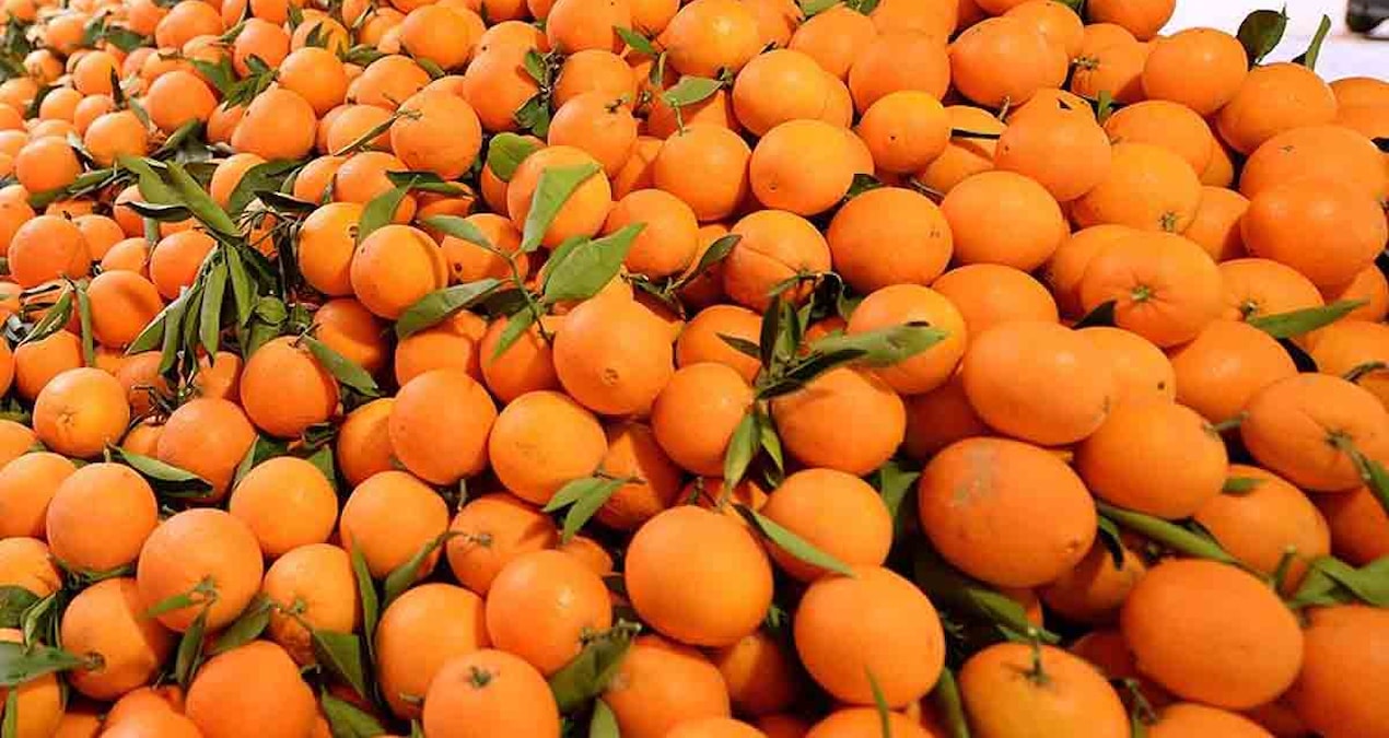 Portakalın en tatlısını seçmek için 5 yöntem var:  Öncelikle filelerde satılan portakallardan kaçının!