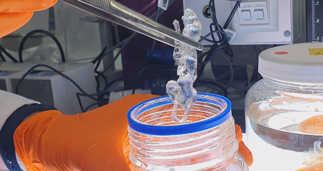 Türk bilim insanından şaşırtıcı keşif: Covid-19 beyne sızıyor!