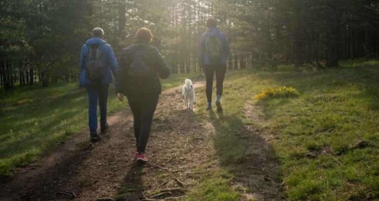 6 tehlikeli yürüyüş alışkanlığı: Dizleri mahvediyor