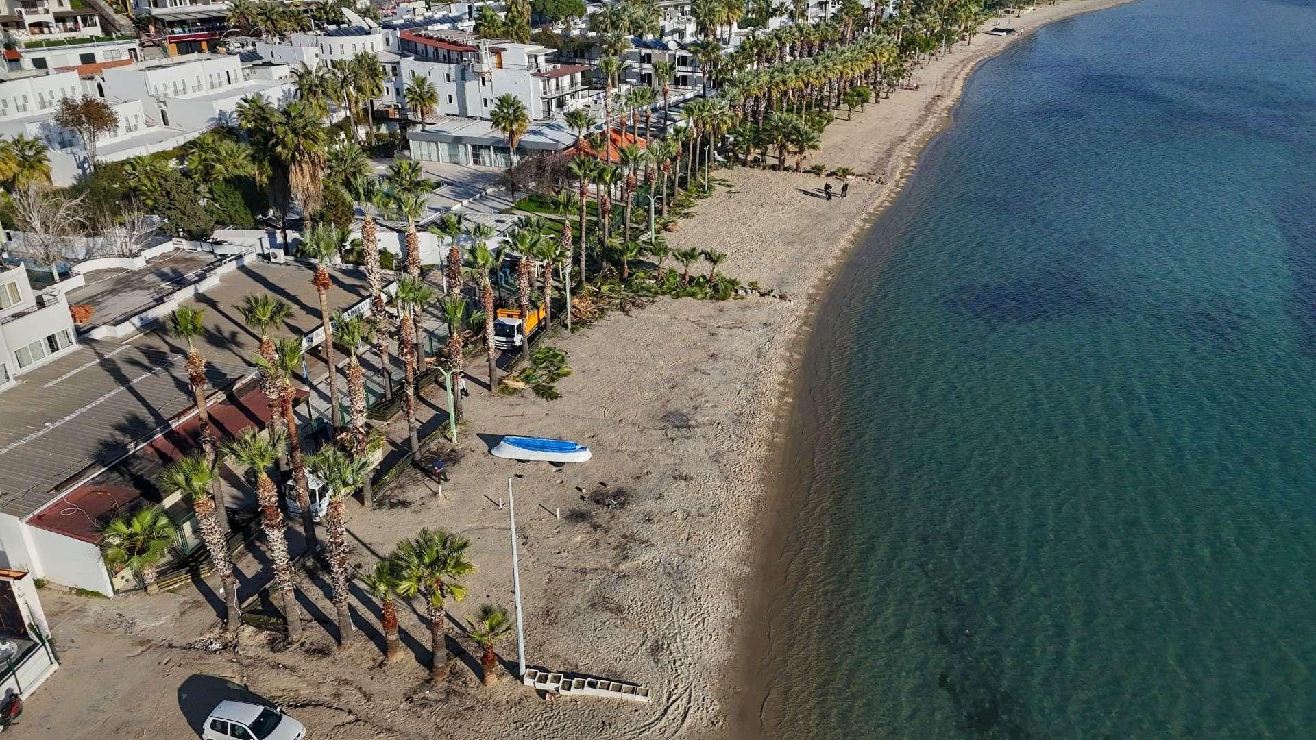 Bakım Zamanı Gelen Palmiyeler, Belediye Ekiplerince Budanıyor.