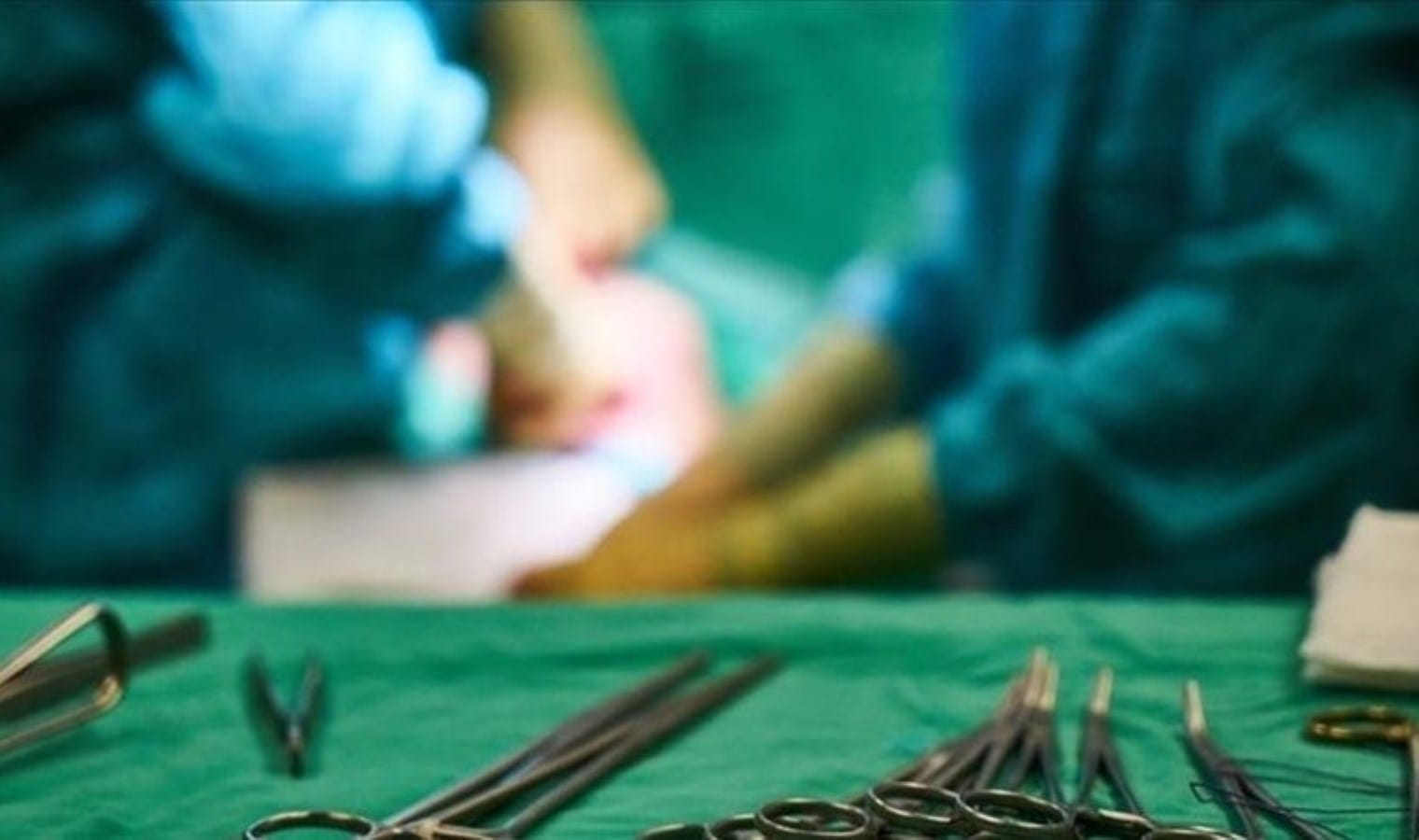 Dünyada tek: ABD’de domuzdan organ nakli yapılan kadın 2 ayın ardından sağlığına kavuştu