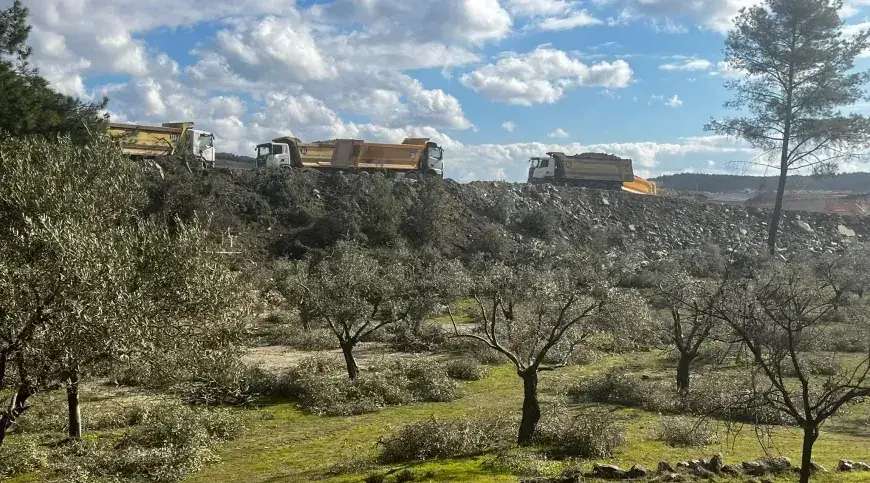 Milas’ta Zeytinlik Katliamı: Köylüler Direnişte