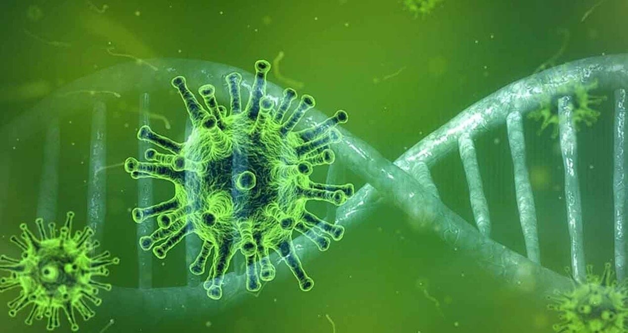 Ölümcül bir virüs mutasyona uğradı: Bilim insanları alarma geçti