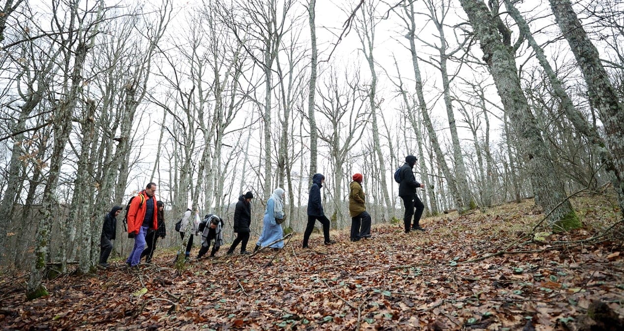 Sağlıklı yaşamak isteyenlerin yeni rotası: Orman banyosu