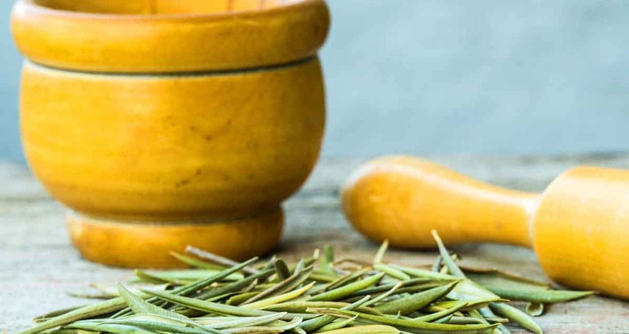 Üretimde ilk sıralardayız ama Türkler bu çayı içmiyor! Güçlü antioksidanlar içeriyor, tam şifa deposu