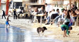 Yılın son günü Bodrum’da deniz ve güneş keyfi