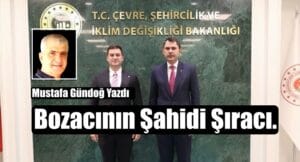 Bozacının Şahidi Şıracı.