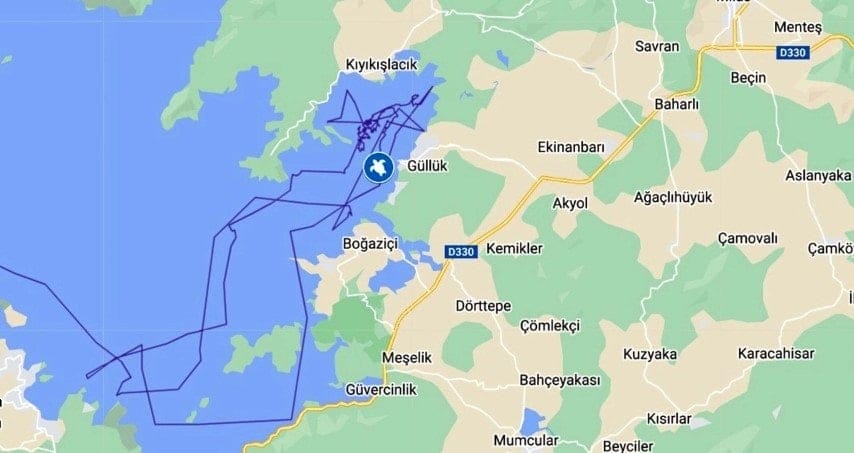 Caretta caretta inanılmaz yolculuğu: 15 ayda 1700 kilometre!