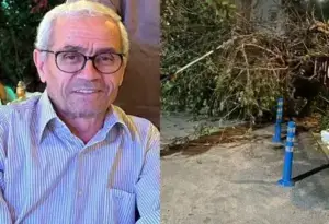 Bodrum’da Trajik Olay: Ağaç Budarken Düşen Mehmet Karakaş Hayatını Kaybetti