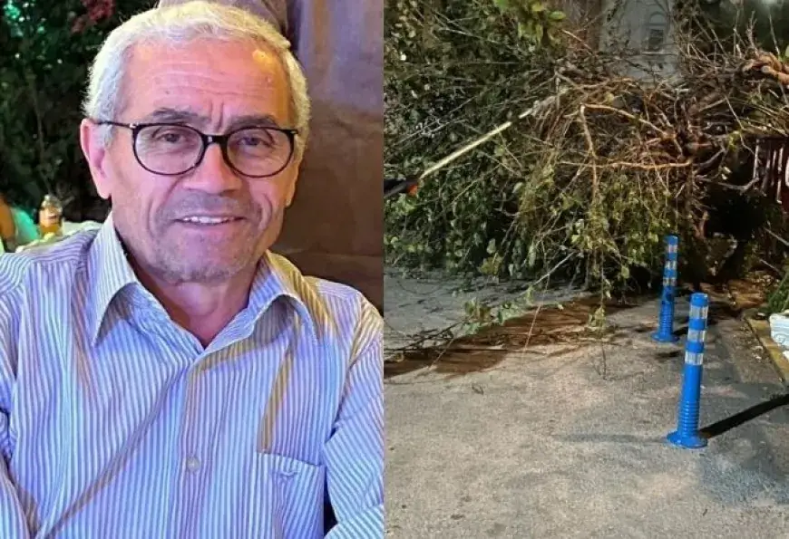 Bodrum’da Trajik Olay: Ağaç Budarken Düşen Mehmet Karakaş Hayatını Kaybetti