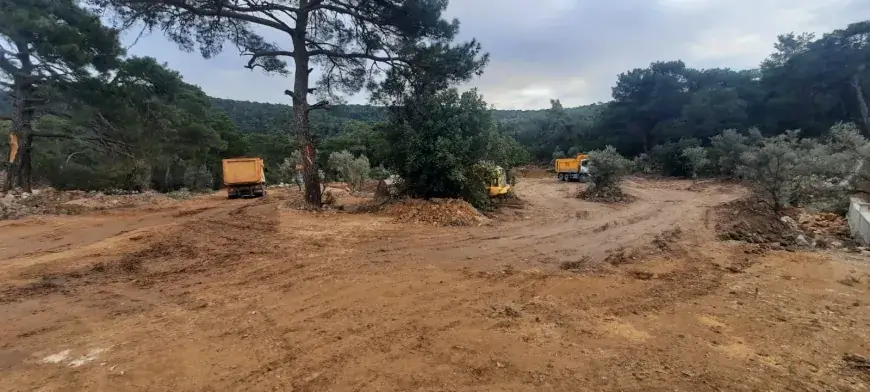 Gölköy’de Zeytin Katliamına Tepki: ‘Soframızda Zeytin Yerine Beton Yiyeceğiz’