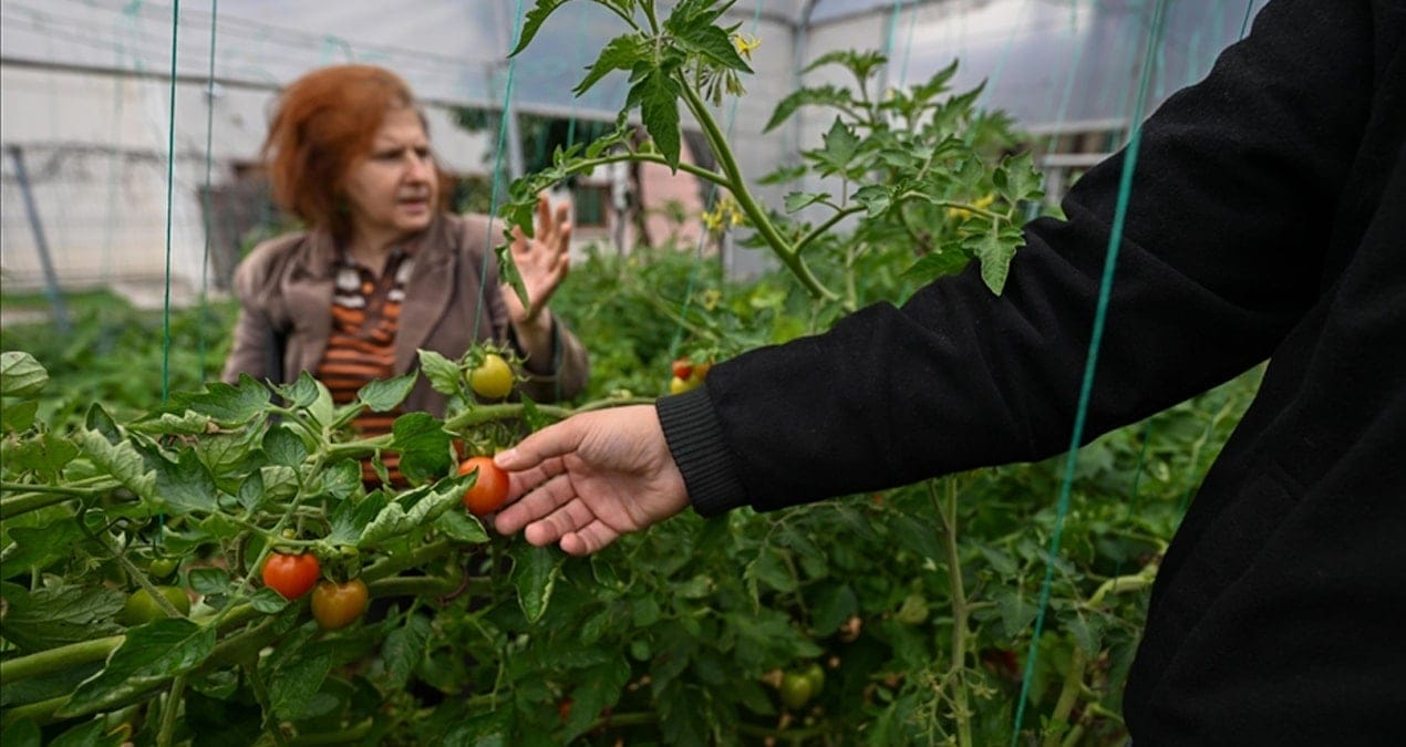 Psikiyatri hastalarına serada tarımla terapi
