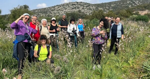 Kalyon’un Zeytinlik Projesine Tepki: ‘Bodrum Uyan!’