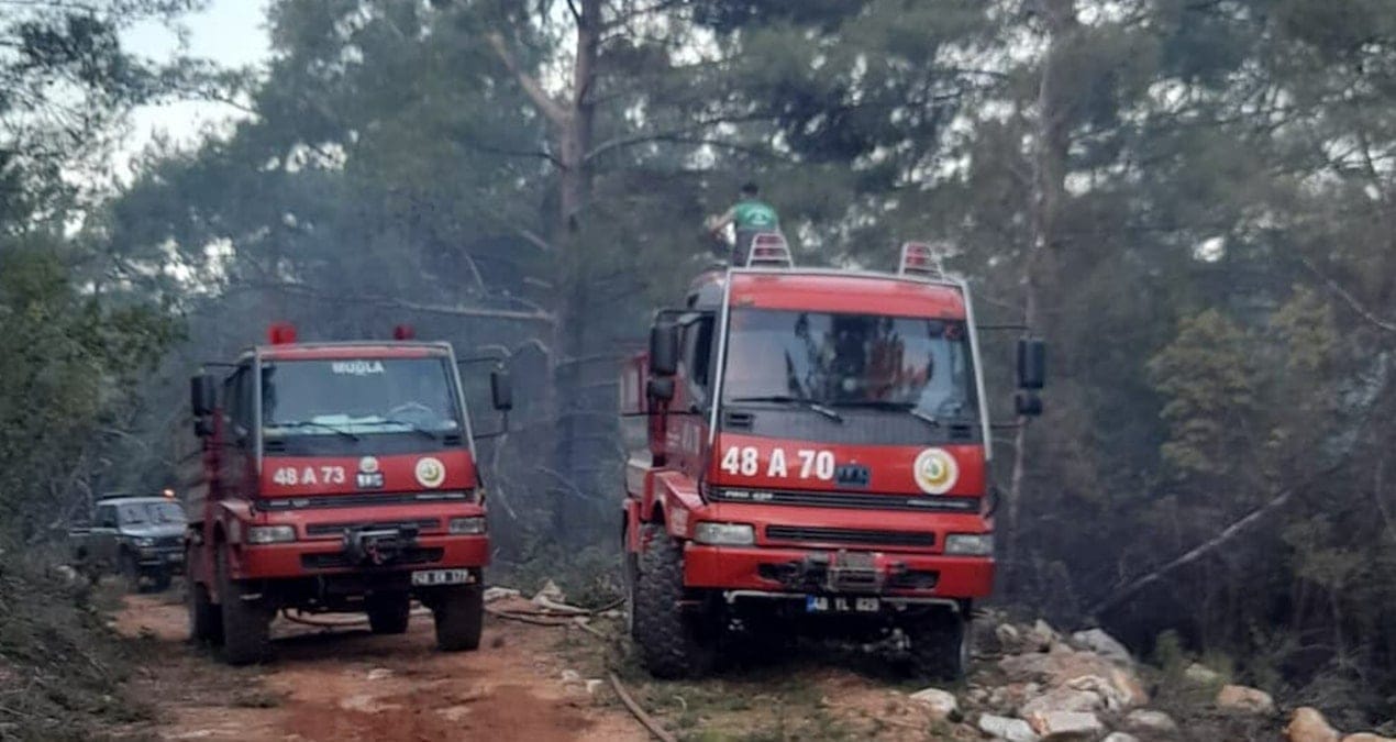 Muğla’da orman yangını: 2 hektar alan kül oldu