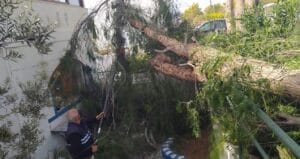 Bodrum’da tekneler suya gömüldü, ağaçlar devrildi