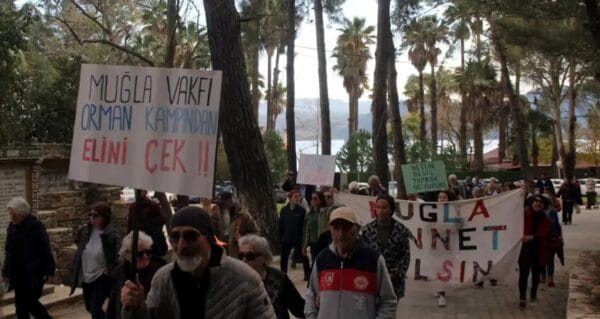 Gökova’da orman yok ediliyor, çevreciler ayakta