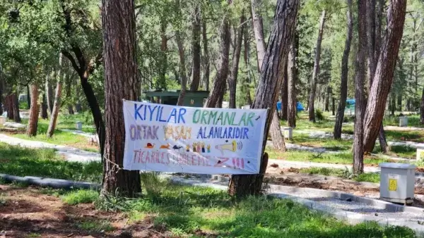Orman Katliamına Dava: Muğla Vakfı ve Orman Bölge Müdürlüğü’nün Sözleşmesine İptal Talebi