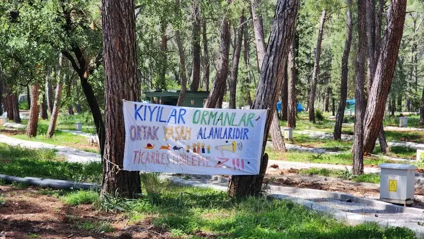 Orman Katliamına Dava: Muğla Vakfı ve Orman Bölge Müdürlüğü’nün Sözleşmesine İptal Talebi