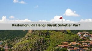 Kastamonu’da hangi büyük şirketler var?