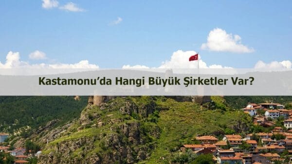 Kastamonu’da hangi büyük şirketler var?