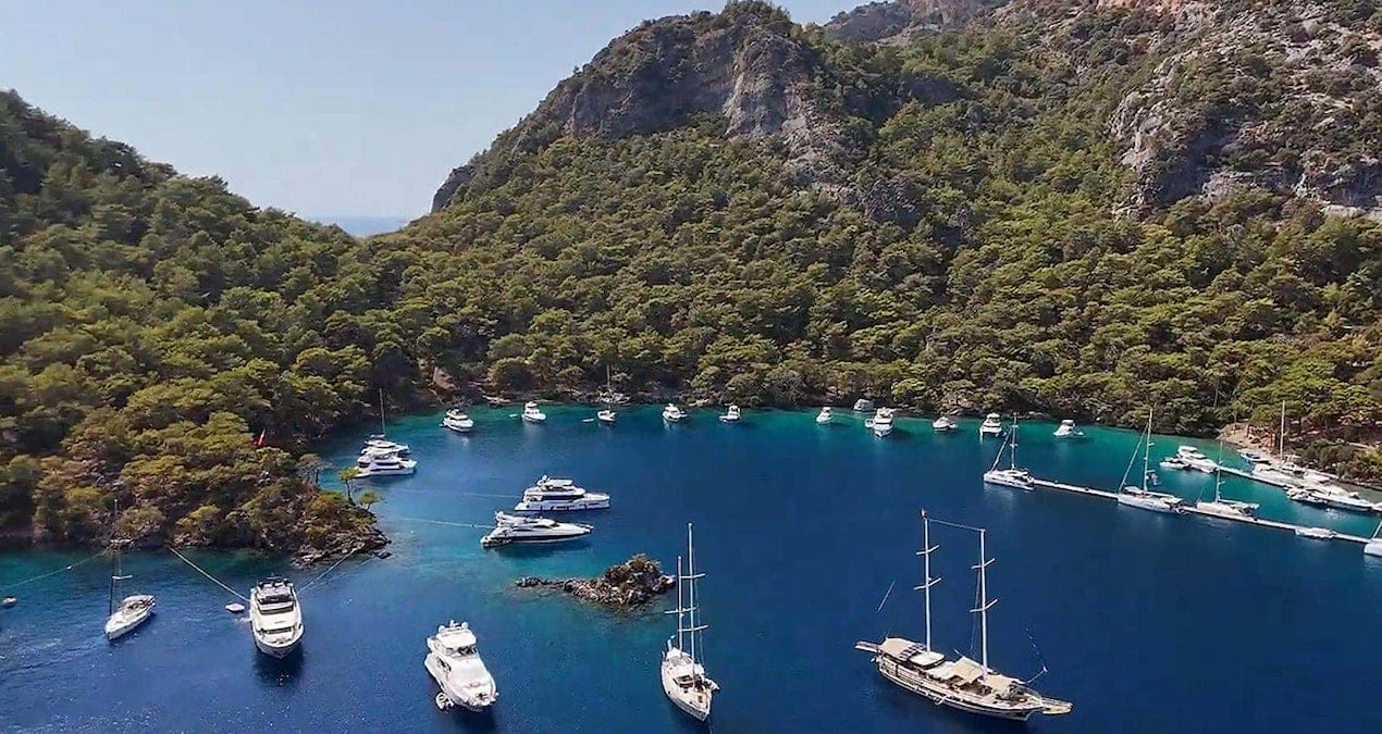 Göcek’te kaplumbağalar için müzik yasağı!