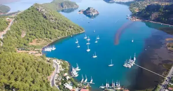 Kızkumu Plajı’ndaki İhale İddiaları TBMM Gündeminde