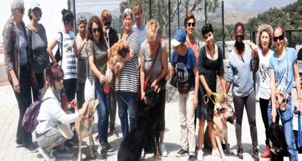 Muğla’da belediyelere sokak hayvanları cezası yağdı