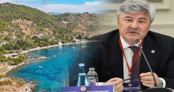 Muğla’daki Zeytinlik ve Orman Arazileri Satışa Çıkarıldı, İYİ Partili Ergun Tepki Gösterdi