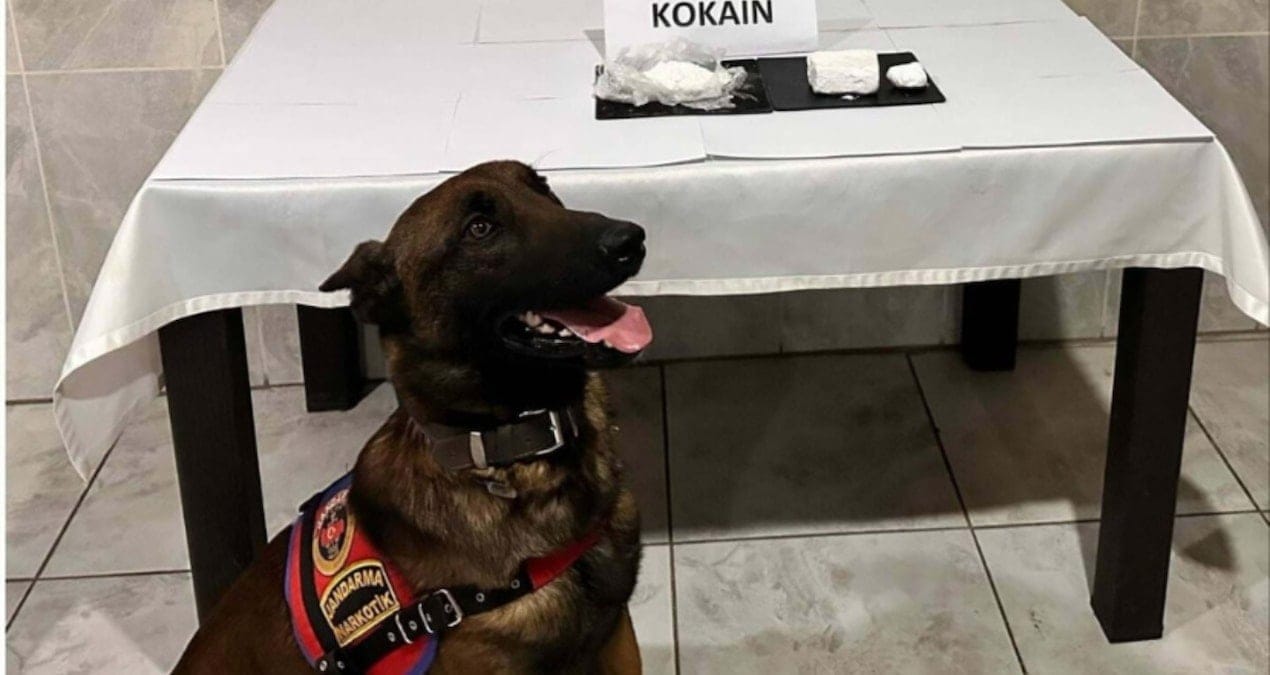 Yolcu otobüsüyle uyuşturucu sevkiyatı ‘Etil’e takıldı