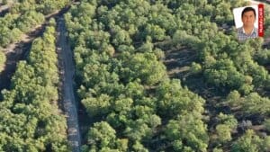 Yurt genelinde 14 ildeki çeşitli alanlar orman sınırları dışına çıkarıldı: ‘Ormansızlaştırmaya’ kapı açıldı